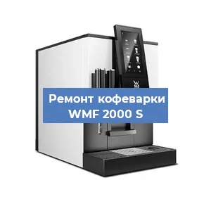 Чистка кофемашины WMF 2000 S от кофейных масел в Волгограде